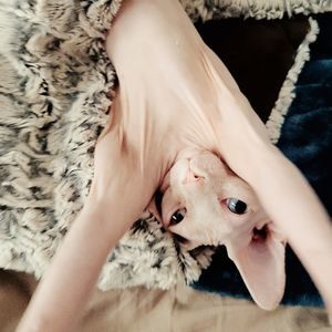 Meet your Posher, Lindsey a